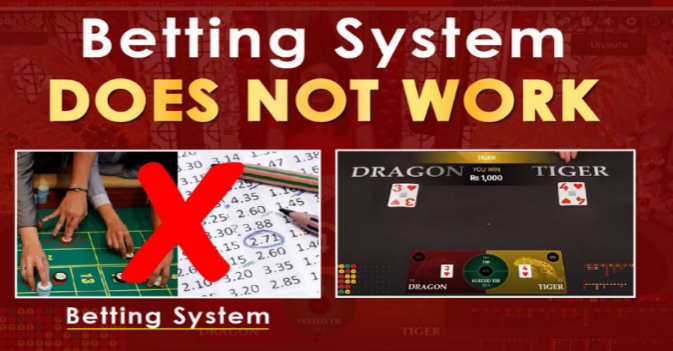 How to win Dragon Tiger Live casino Game